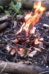 fire camp forest school